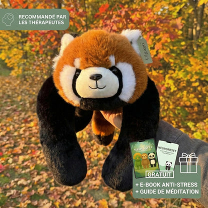 Peluche Lestée - Le secret d'un retour au calme instantané